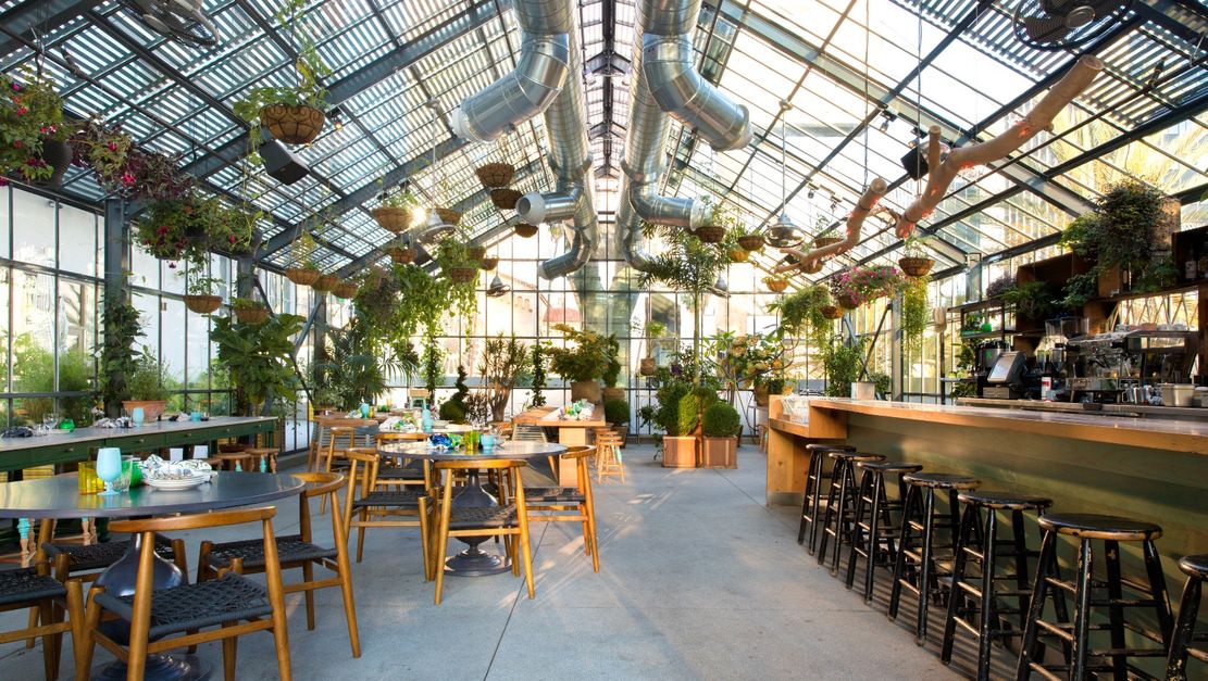 LSN News Greenhouse dining Vegetables are the stars LSN News Greenhouse dining Vegetables are the stars